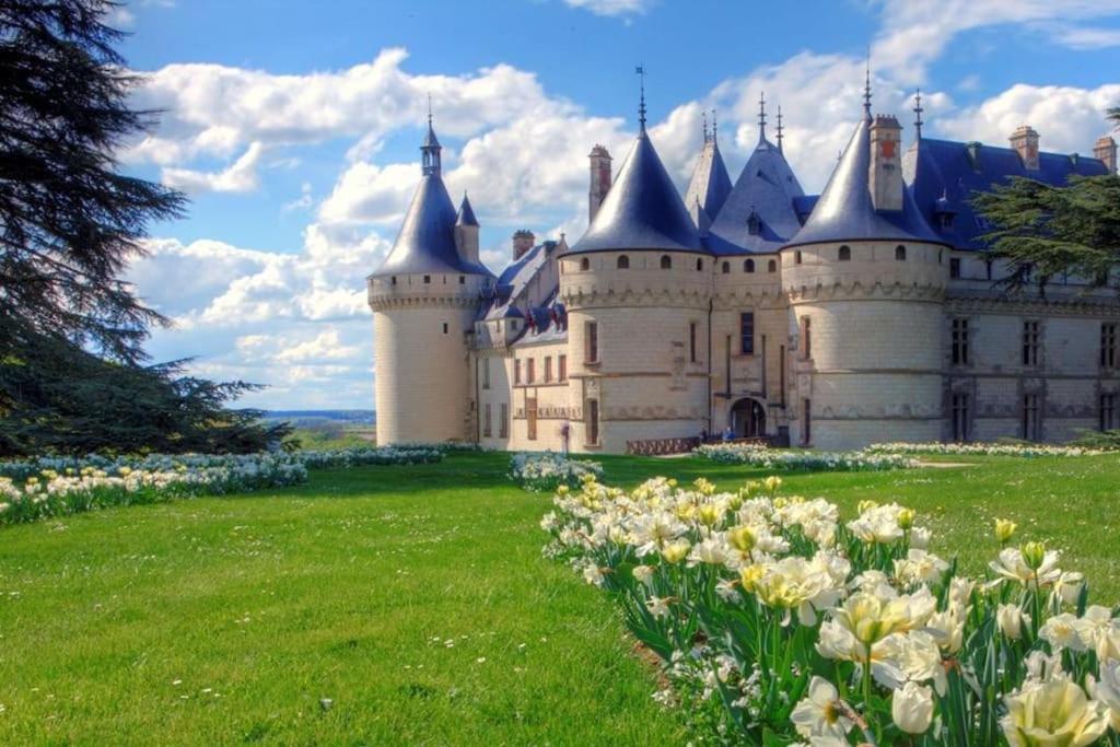Le Pressoir Macy - Terracobois Guest House Choussy Екстериор снимка